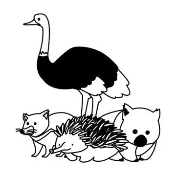 Animals of australia on white background Stock Illustration