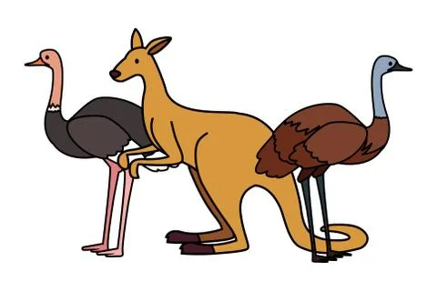 Animals of australia on white background Stock Illustration
