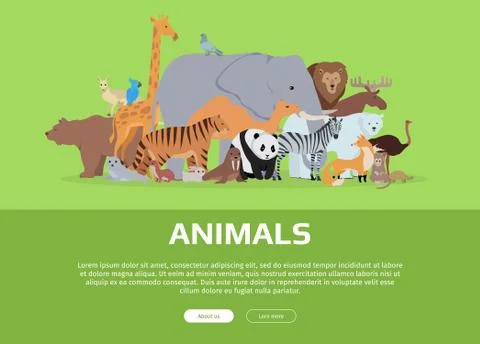 Animals Banner. Website Template Stock Illustration