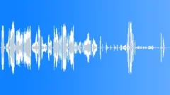 Animals Bat Ext Close Up Bat Squeals V High-Pitched & Active Sound Effect