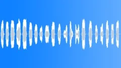 Animals Bat Ext Close Up Bat Squeals V High-Pitched & Abrasive Sound Effect