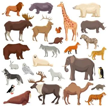 Animals Big Set Stock Illustration
