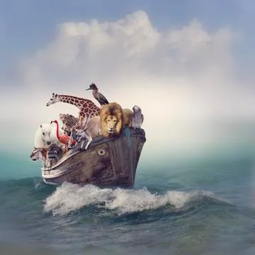 Animals in a Boat Stock Illustration