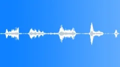 Animals Buffalo Bison Bison Single Growls Series x5 Restless Uneasy Raspy ThroaSound Effect