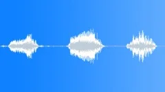 Animals Buffalo Bison Single Growls Long Series x3 Smooth Calm Raspy Nice Low ESound Effect