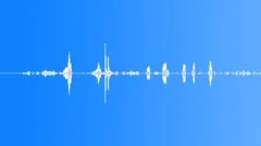 Animals Bulls Low Grunts Deep Vocal Calls Raspy Guttural Throaty CalmSound Effect