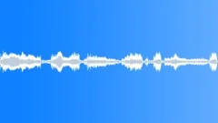 Animals Cats Cat Kitten Vocal Raspy Soft Whines High Pitched Growls Long Deep S Sound Effect