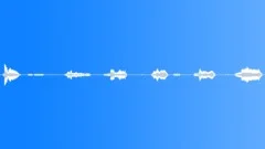 Animals Cats Cat Vocal Meows Two Cats Calm Short Groans Some Paws M Sound Effect