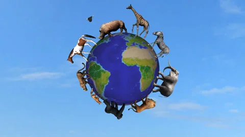 Animals circle the world globe Stock Footage 39908291