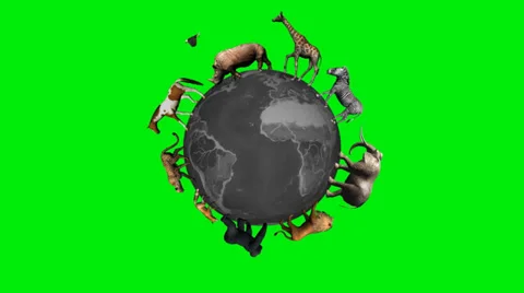 Animals circle the world globe - green screen Stock Footage 39908307