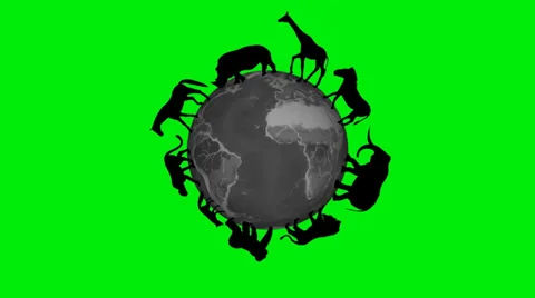 Animals circle the world globe - green screen Video stock 39908529