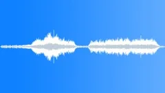 Animals Cows Heifer Moo x 2 Single Vocal Calls Loud Raspy Roars Angry Fierce DiSound Effect