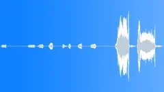 Animals Cows Heifer Vocal Calls Low Throaty Roar Very Calm Sudden DeSound Effect