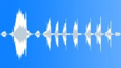 Animals Cows Heifer Vocal Calls Rhythmic Whine Desperate Fierce Rustle Sound Effect