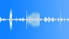 Animals Cows Heifer Vocal Calls Short Rhythmic Grunts Snorts Fierce MSound Effect