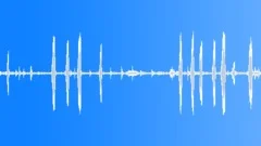 Animals Cows Heifer Vocal Calls Spread Throaty Roar Calm Rusty Hinge Sound Effect