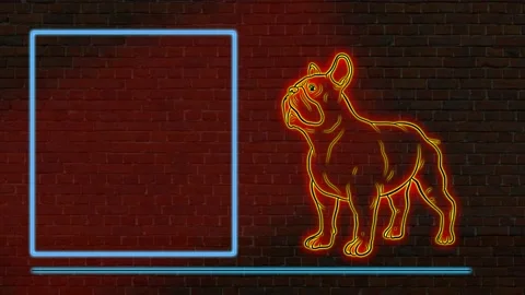 Animals, dogs. Animation. Stock Footage 149870556