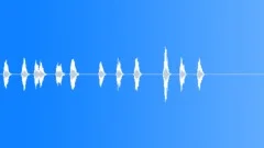 Animals Dogs - Dog Misc Dogs 2 Bark Forceful Sound Effect