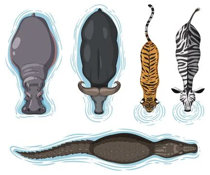 Animals Drinking Water from Above Stock Illustration
