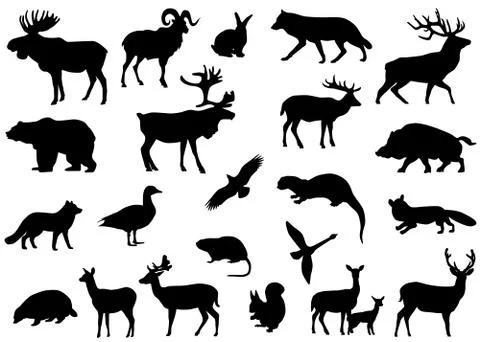 Animals of Europe Illustrazione stock
