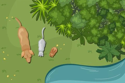 Animals Exploring Nature by the River Stock Illustration