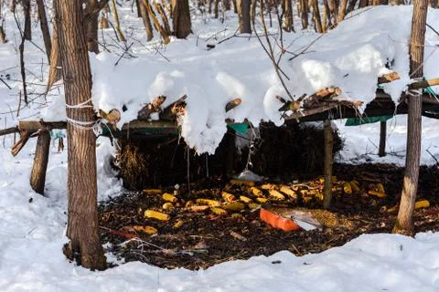 Animals feeder in winter forest. Stock Photos