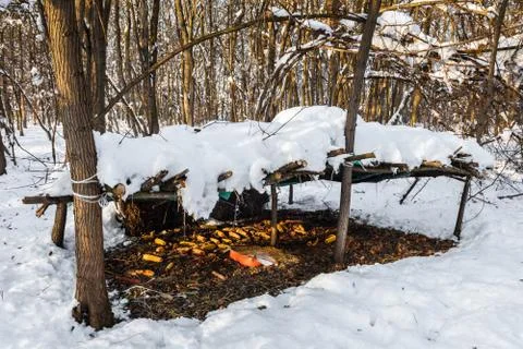 Animals feeder in winter forest. Stock Photos