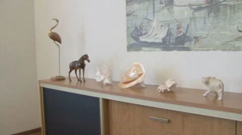 Animals Stock Footage 7997640