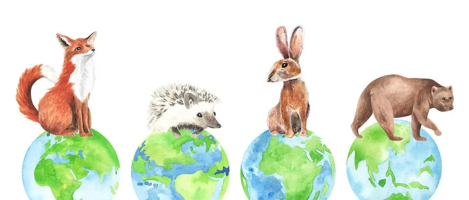 Animals in forest, Creative design world environment and earth day drawing and Stock Illustration