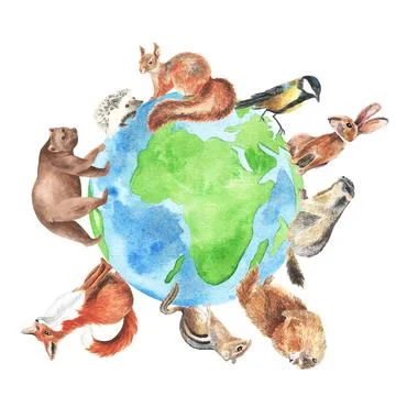 Animals in forest, Creative design world environment and earth day drawing and Stock Illustration