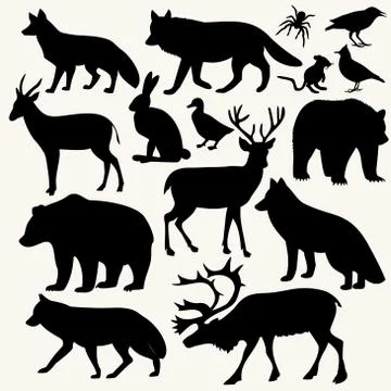 Animals in the forest Stock Illustration