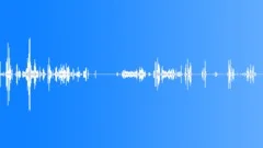 Animals Foxes Red Fox Group Vocal Calls Screams Cry Rattly Hoarse So Sound Effect