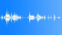 Animals Foxes Red Fox Group Vocal Calls Screams Cry Rattly Hoarse So Sound Effect