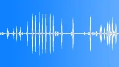 Animals Goats Bleat Calls Warbling Baa Movements Rubbing Barn Medium Close InteSound Effect