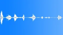 Animals Goats Small Group Baas Vocals Bleats Sheep Calls Movements Chewing MediSound Effect