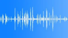 Animals Goats Various Bleat Calls Variable Intensity Warbling Baby Baa MovementSound Effect