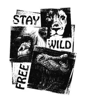 Animals. Hand drawn collage. Vector Stock Illustration