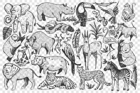 Animals hand drawn doodle set Stock Illustration