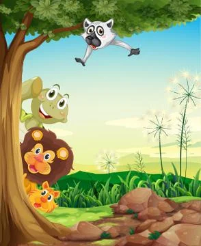 Animals hiding Stock Illustration