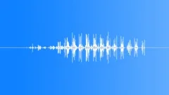 Animals Horses Hard Dirt Distant In @ Medium Speed Very Short Stop To Gallop Br Sound Effect