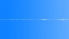 Animals Horses Horse Vocals Close Up Sick Horse Wheezing & Breaths Some Hay MovSound Effect
