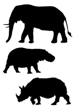 Animals Stock Illustration