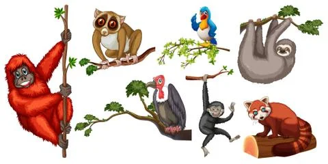 Animals Stock Illustration