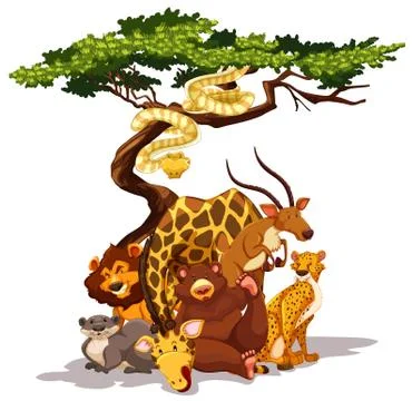 Animals Illustrazione stock