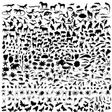 Animals Stock Illustration