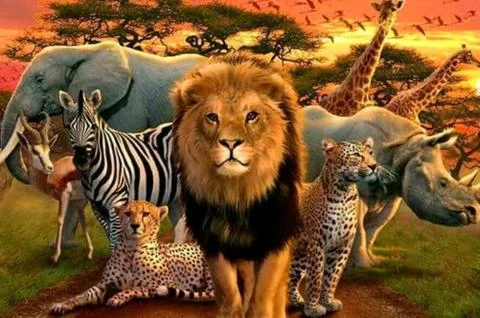 Animals Stock Illustration