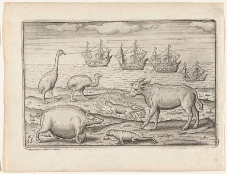 Animals from Java, 1596. Animals from Java, 1596. Kasuaris, salamander and... Stock Photos