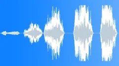 Animals Lions Rough Roar Angry Vocal Calls Annoyed Slight Distorted Cage Clunks Sound Effect