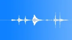 Animals Mammal Type Voices Int Close Up Reverby Whale Song Sounds Boar Like GruSound Effect