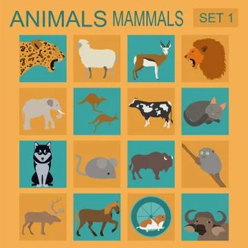 Animals mammals icon set. Vector flat style. Vector illustration Stock Illustration